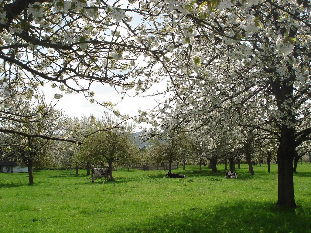 Chambres D'Hotes Au Temps Des Cerises Jumièges Kültér fotó