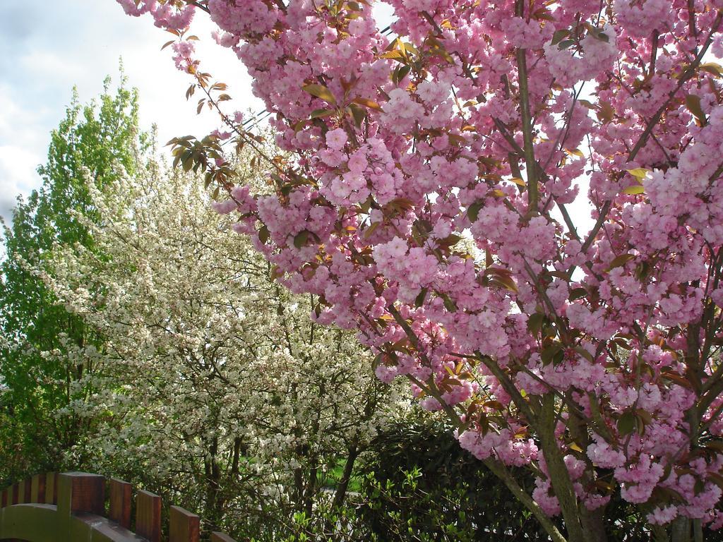 Chambres D'Hotes Au Temps Des Cerises Jumièges Kültér fotó