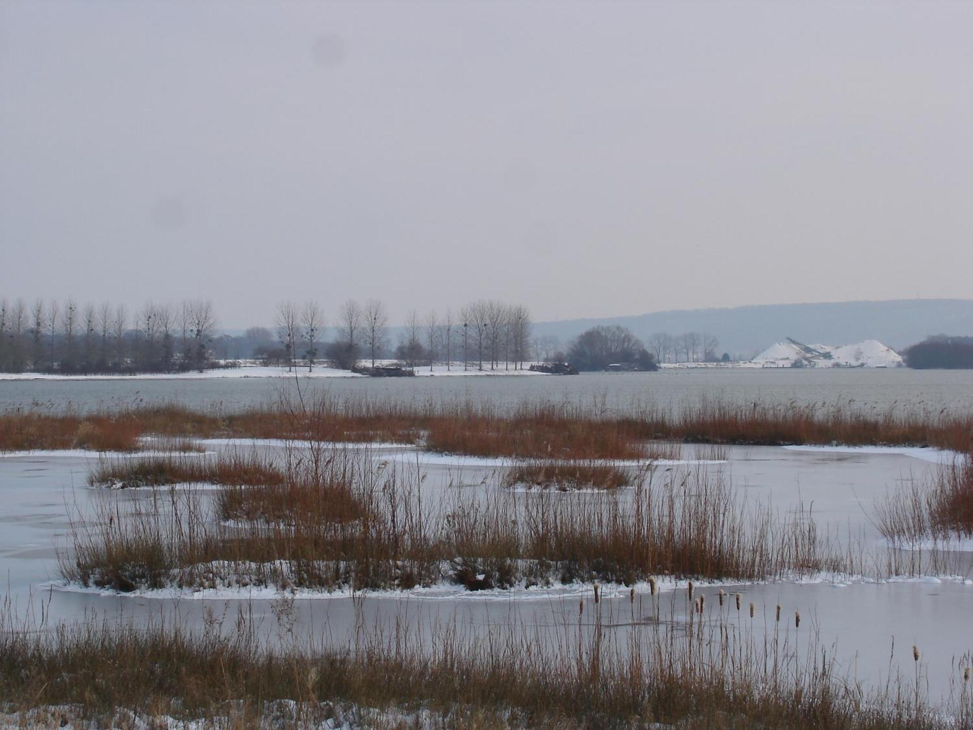Chambres D'Hotes Au Temps Des Cerises Jumièges Kültér fotó